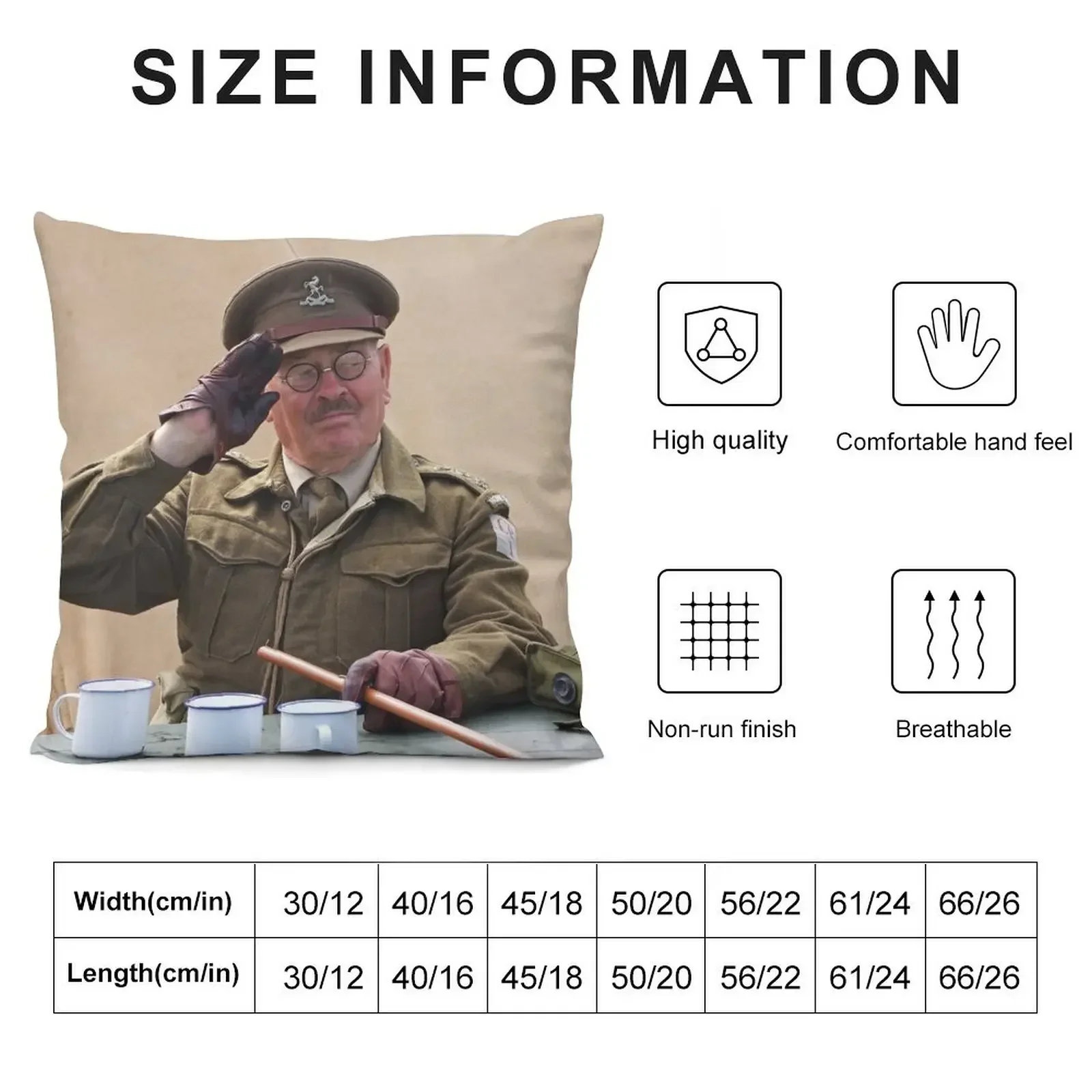 You Stupid Boy (Captain Mannering - Dads Army) Throw Pillow Decorative Sofa Cushions Sofa Cushions Cover pillow