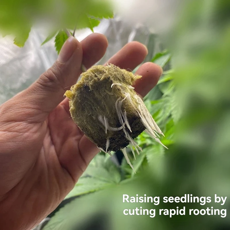 Y50A-Hydroponic Planting Medium Block Plant Block Soilless Matrix Sowing Rock Wool Plug Tray Sämling Block Anbau