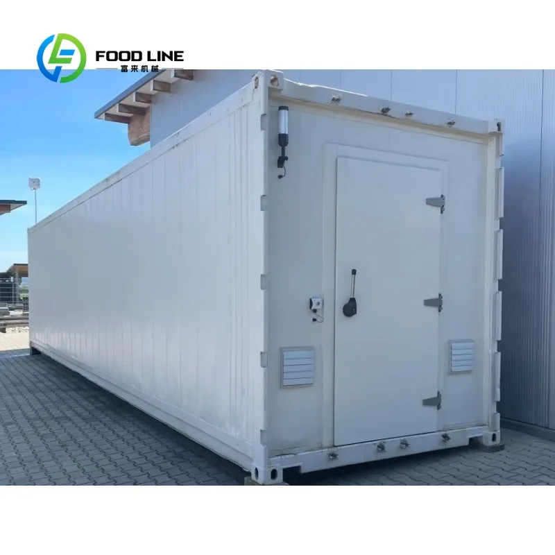 Customized Modular Mushroom Cultivation Chamber Growing Container Fruiting Room for Efficient Farming Greenhouse Use