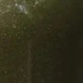 Verde oliva