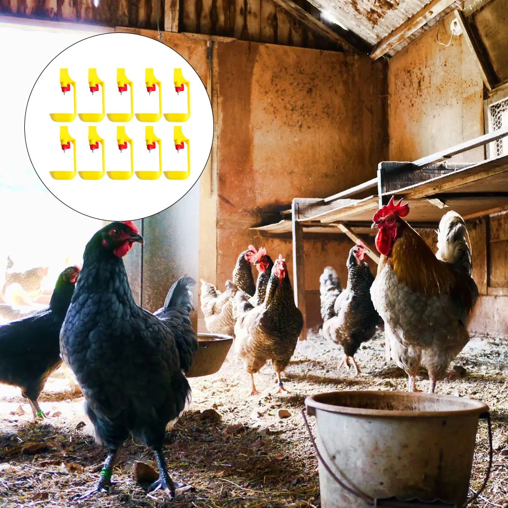 

10pcs Chicken Drinking Fountains Square Tube Ball Waterer For Chick Ducks Automatic Durable Poultry Farm Home Use Bright Color