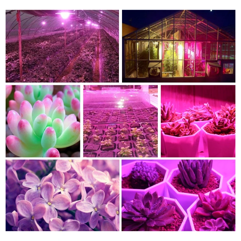 LED Grow Light Full Spectrum E27 UV IR LED Growing Bulb for Indoor Hydroponics Plant Light AC85-265V 110V 220V Led Grow Lamp