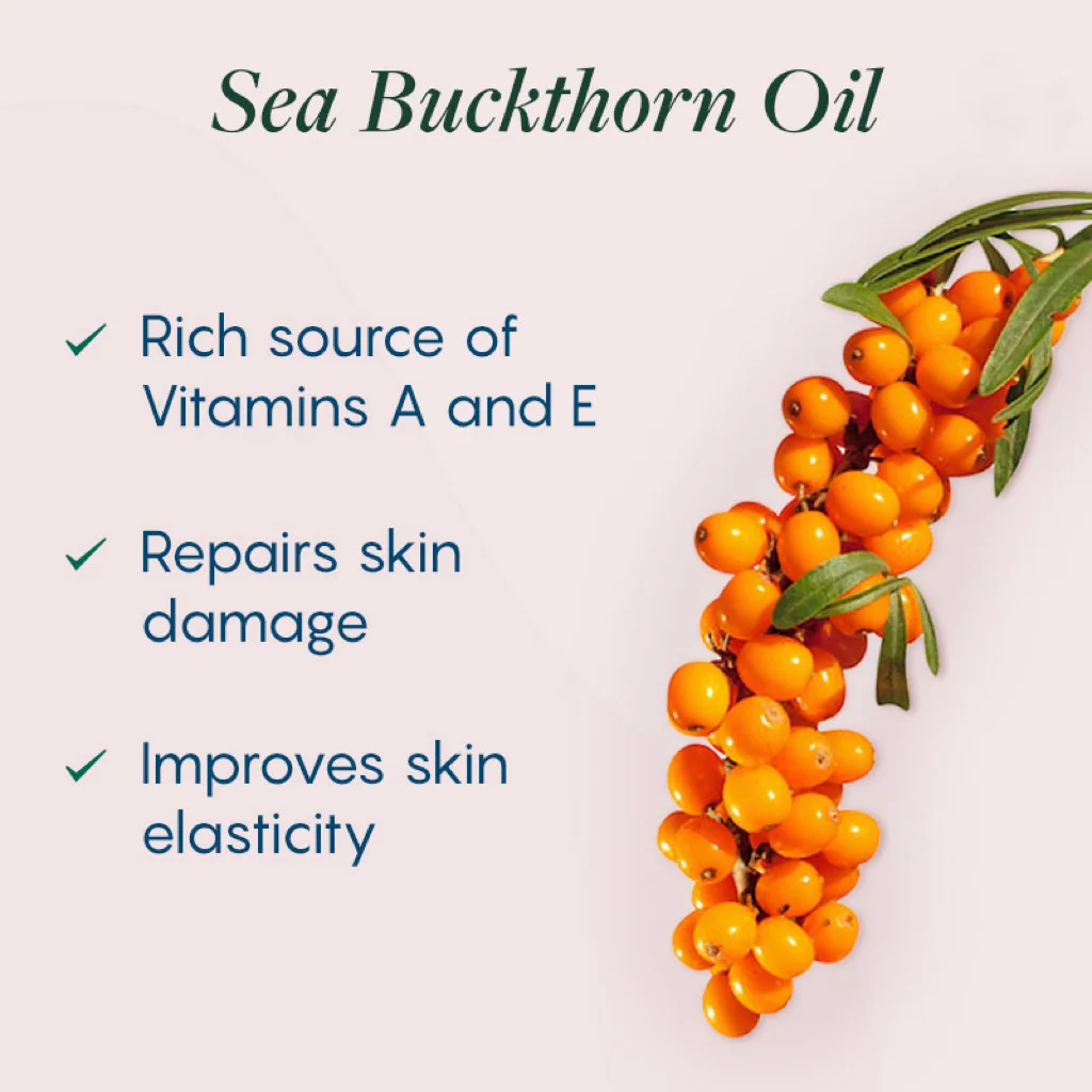 Pure Natural Seabuckthorn Fruit Oil Moisturizes Fades Acne Scars Improve Skin Luster Elasticity Repair Skin Barrier Massage Oil