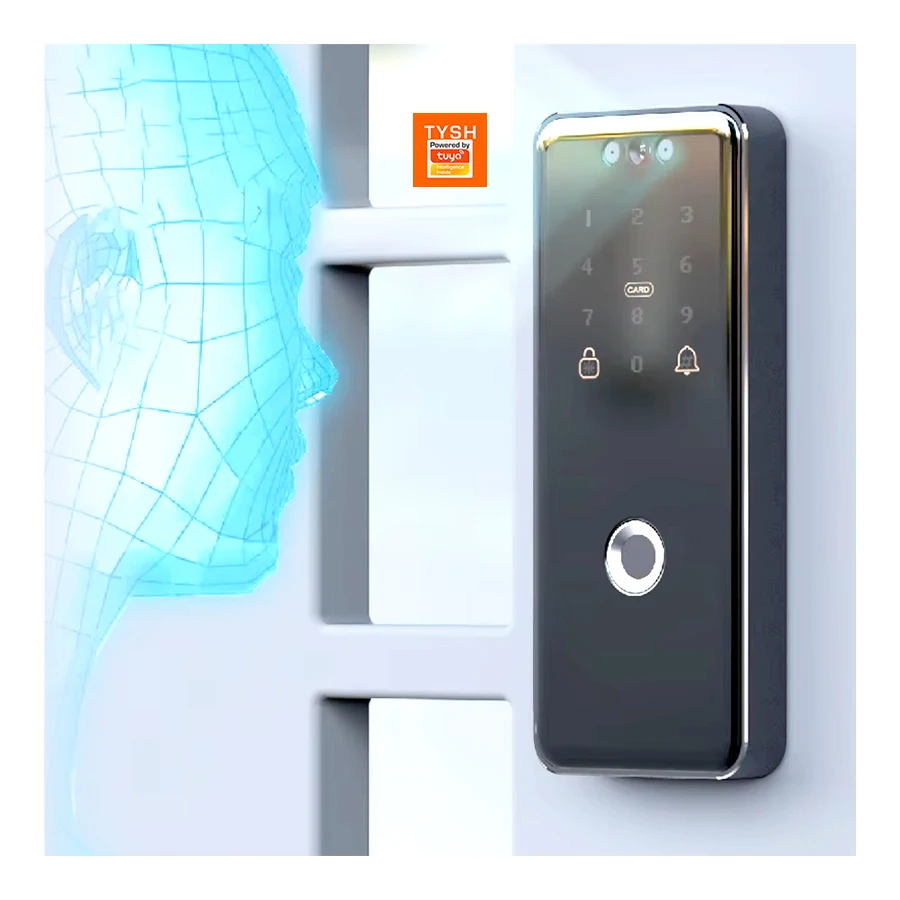 

STLF Face Recognition Smart Locks Safe Outdoor Electronic Lock Fingerprint App Wifi Remote Unlock Digital Door Lock