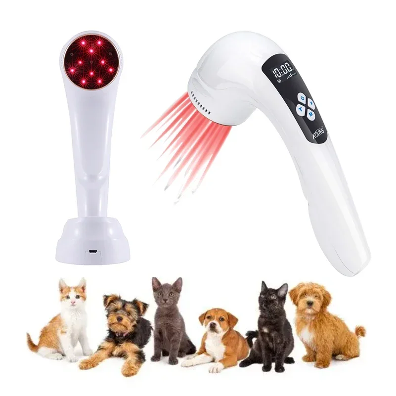 Eco-Friend Veterinary Medical Treatment Acupuncture Pain Relief Therapy Red Light Plastic Material Gingivitis Stomatitis