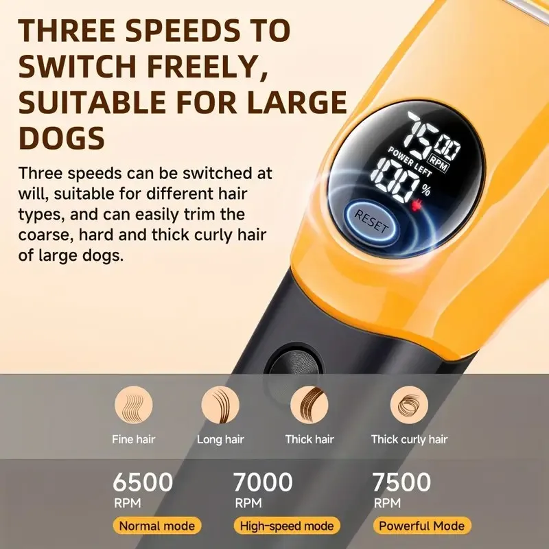 Thumbnail 3 - #47 Trending Cat Grooming Right Now