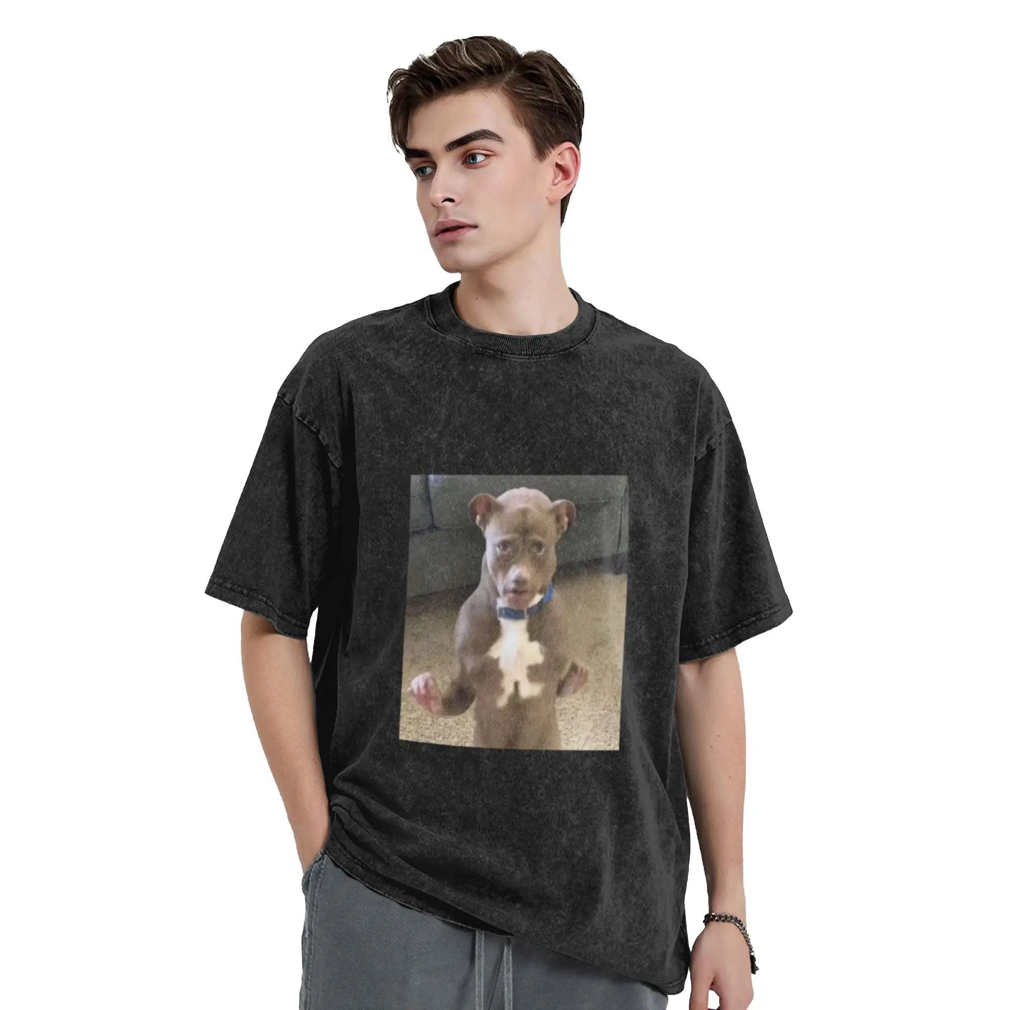 pit bull meme Classic Comfort A Washed T Shirt Men's Women's Oversized Cotton Tees Tops