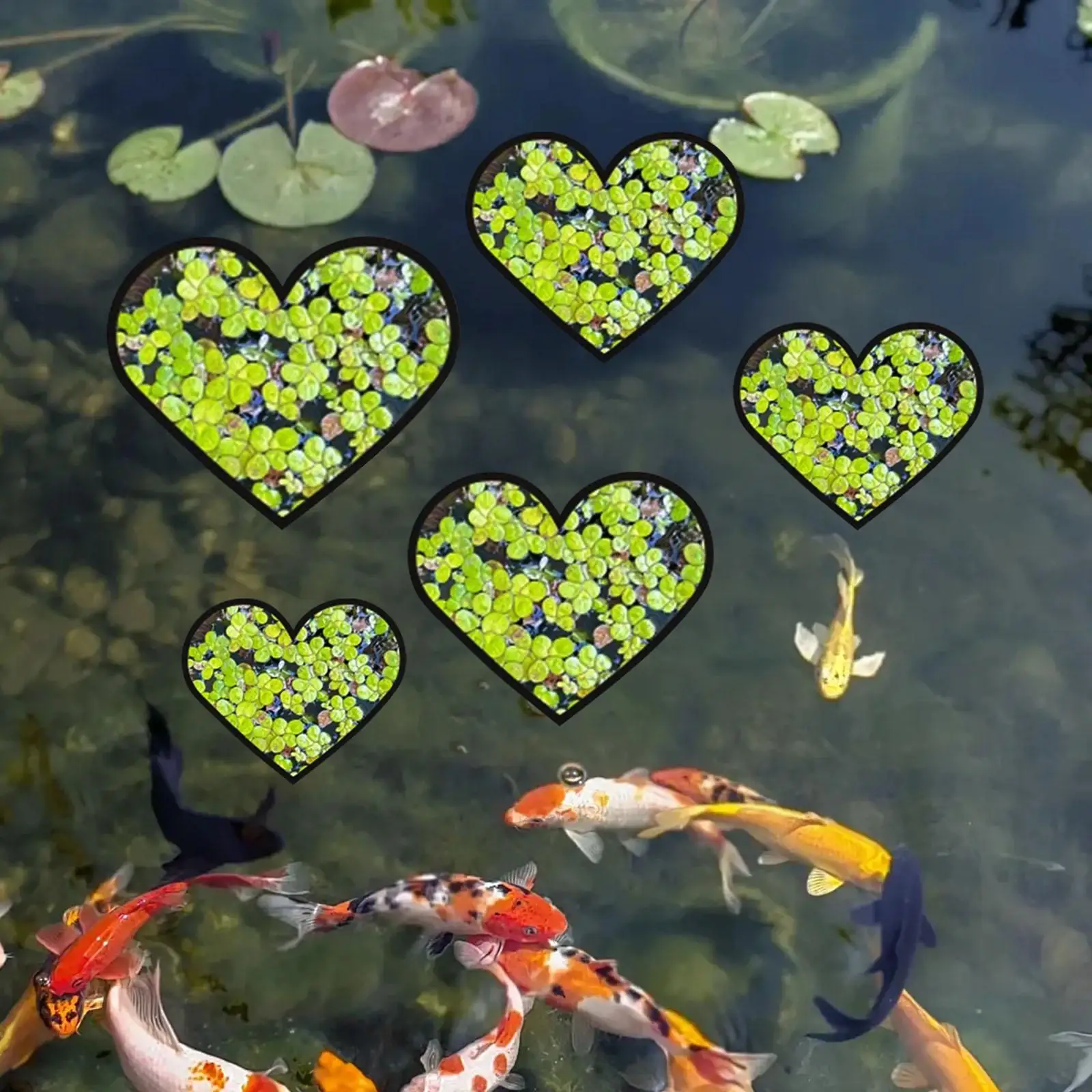 5 Pieces Aquarium Floating Plant Rings,Floating Plant Corral,Fish Feeding Rings,Heart Shaped Fish Feeder Rings for Fish Tank