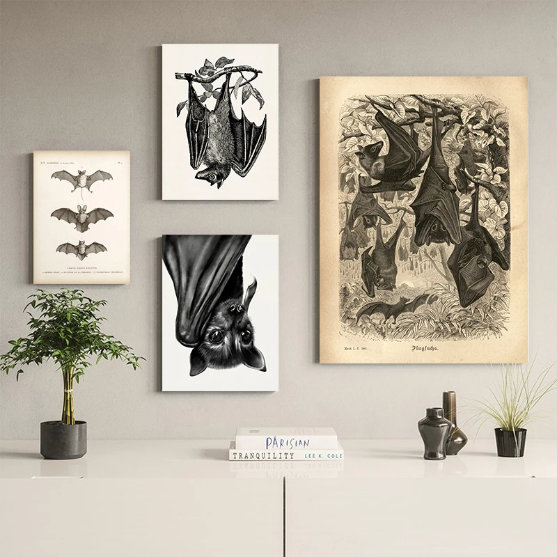 Framed Canvas Wall Art Vintage Bat Sketch Print Series Retro Gothic Style Wall Decor Bedroom Living Room Halloween Decoration