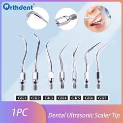 1Pc Dental Ultrasonic Scaler Tip Scaling Periodontics Endodontics Tips GK1- GK7 Fit For KAVO Handpiece Stainless Steel Dentistry