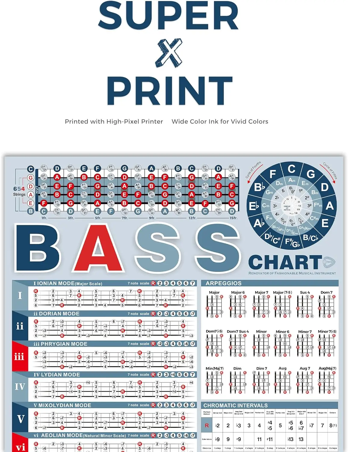 Bass Scales Poster Comprehensive Bass Scales Chart, Perfect for Beginners & Bassists