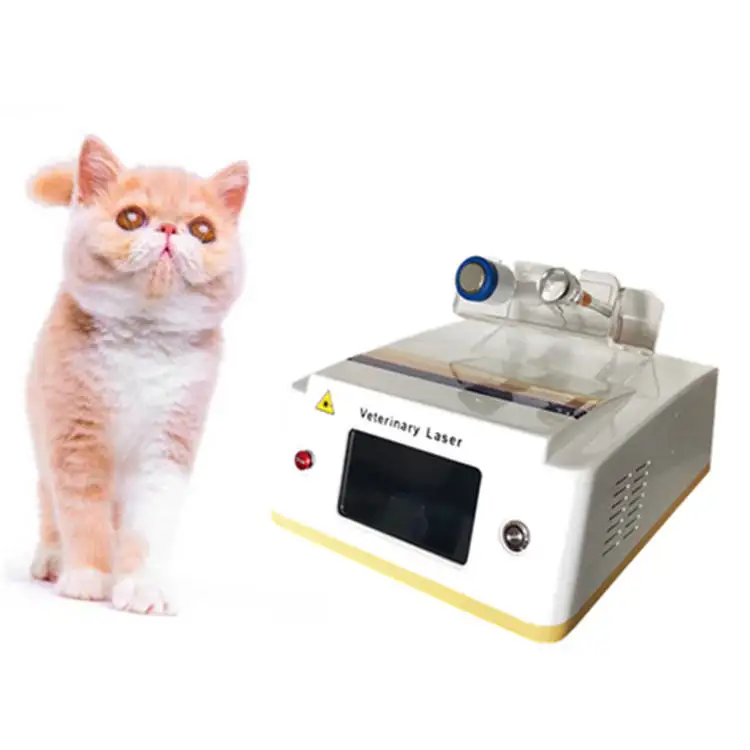 

Veterinary 30W Class Iv High Power Physiotherapy Veterinary Laser 960Nm For Cat