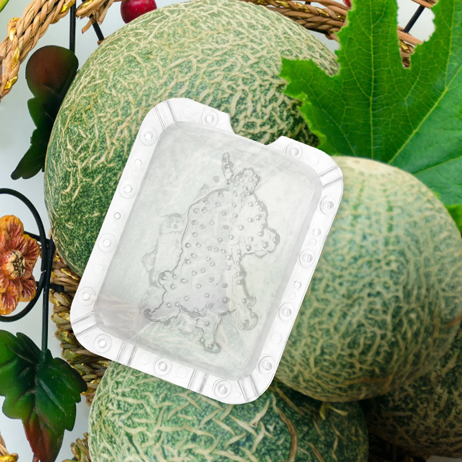 2Pcs Melon Growing Molds Transparent Plastic Reusable Fruit Shaping Molds for Garden DIY Vegetable Fruit Mold Gardening