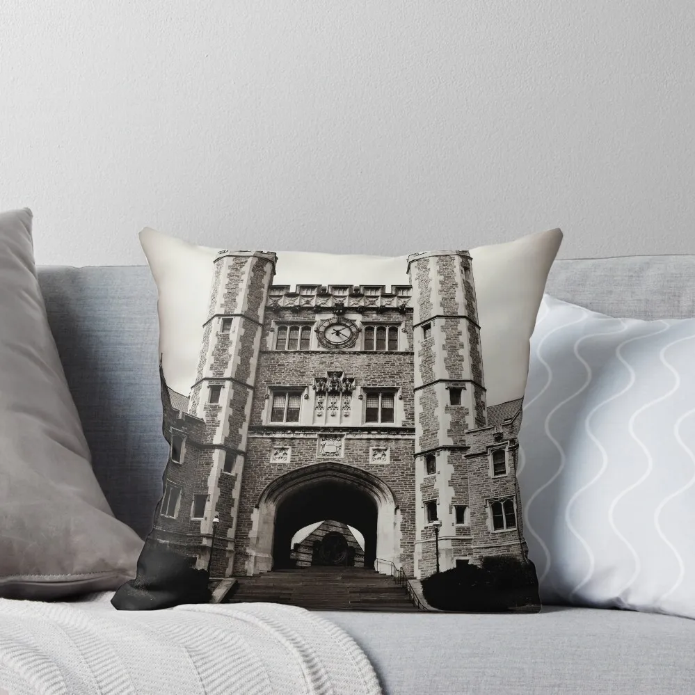 Princeton Throw Pillow Pillowcases Bed Cushions anime girl Sofa Cover pillow