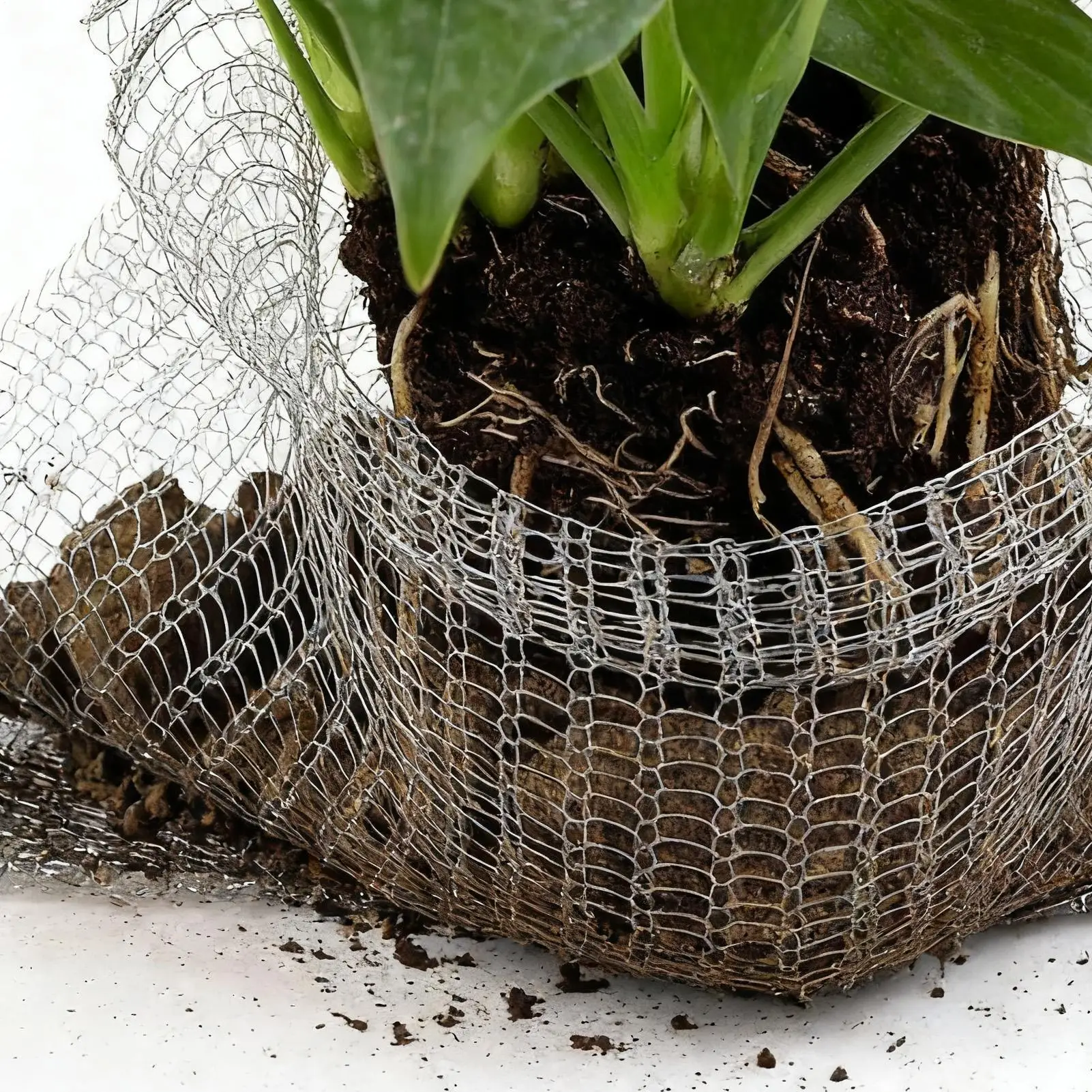 

Bulb Cages For Planting Protectors 15Piece Root Guard Gopher Basket For Garden Plants Root Tree Vegetable Bird Animals Outdoor