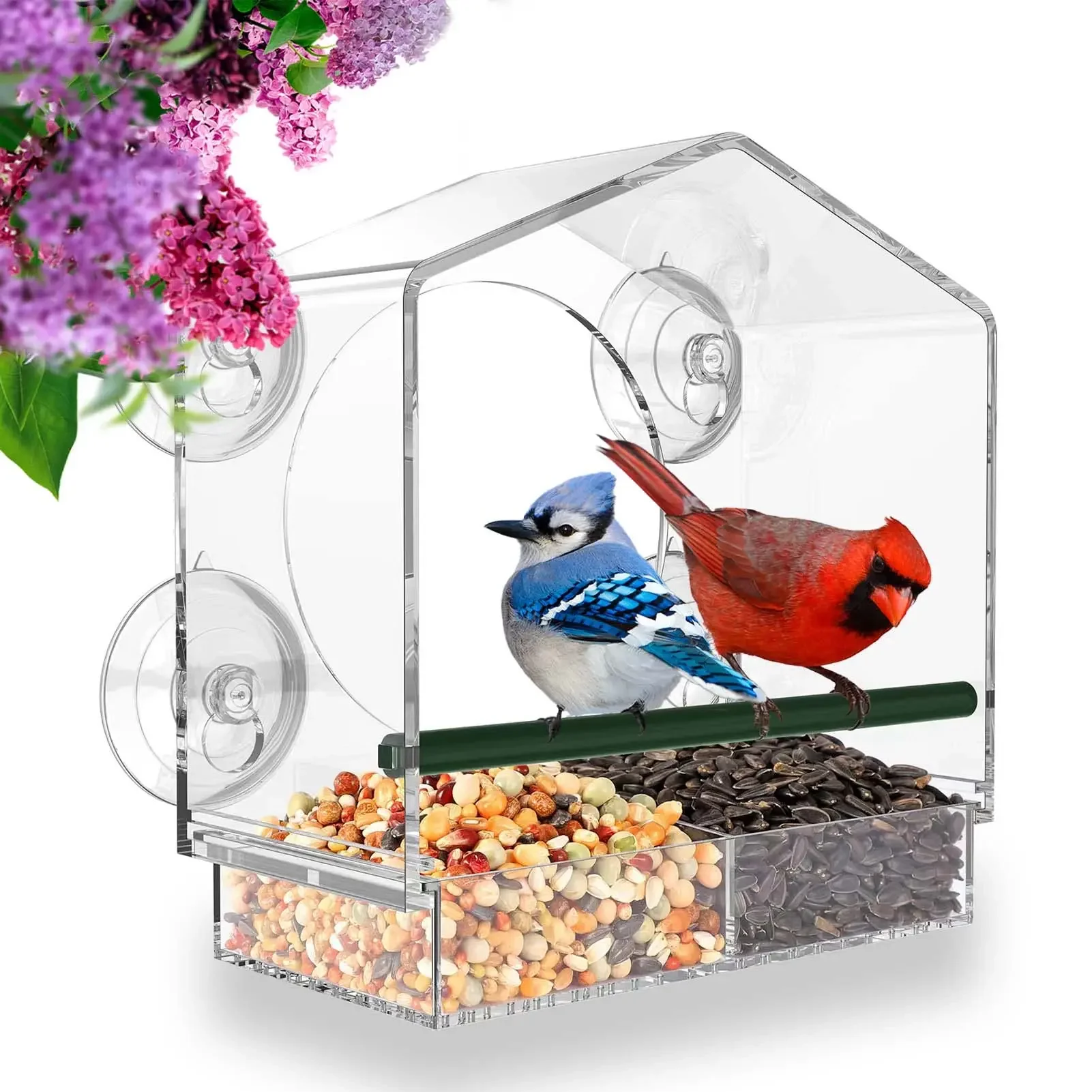 Window Bird Feeder Gram Reuse Tray House Shape Waterproof Transparent Squirrel Food Container Outdoor Suction Cup Installation