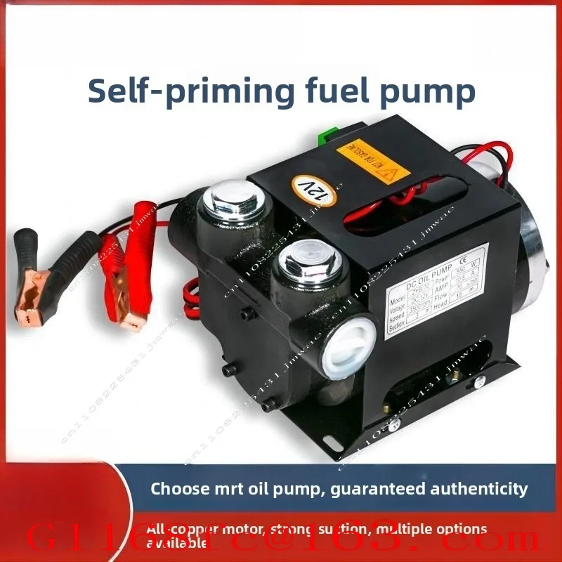 Large Flow AC DC Self-priming Pump 12v24v220V