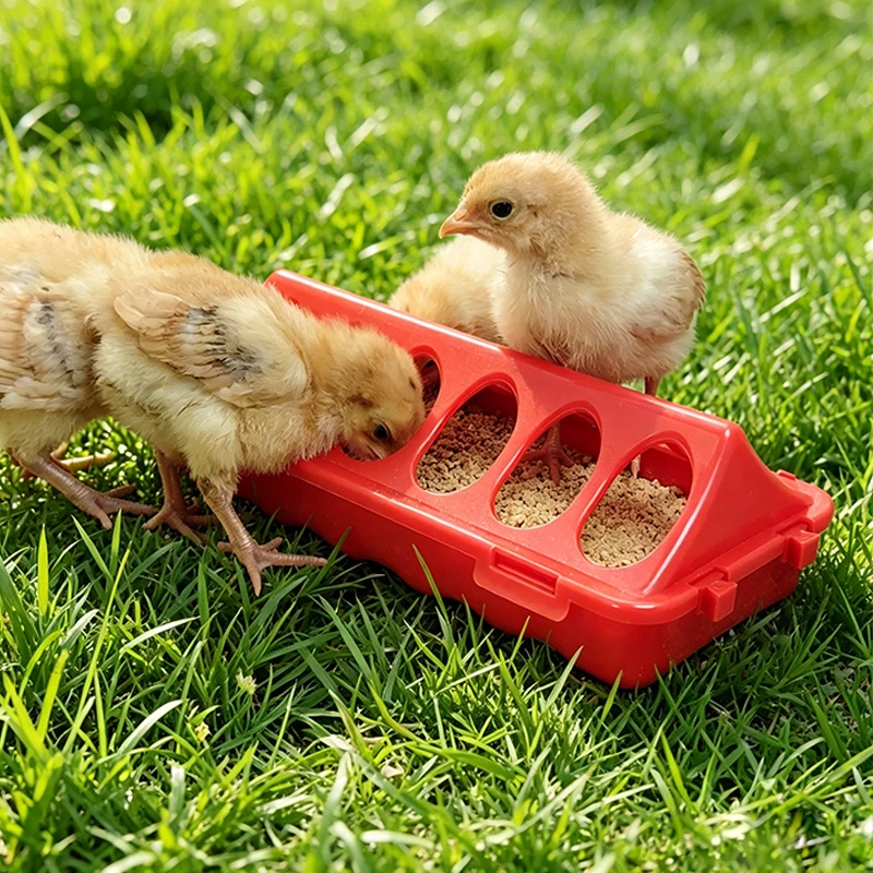 1 Stück Rudin Geflügelfutterautomat für die Aufzucht von Küken, Enten, Gänse, Geflügel-Futterbox, auch für Tauben und Vögel geeignet