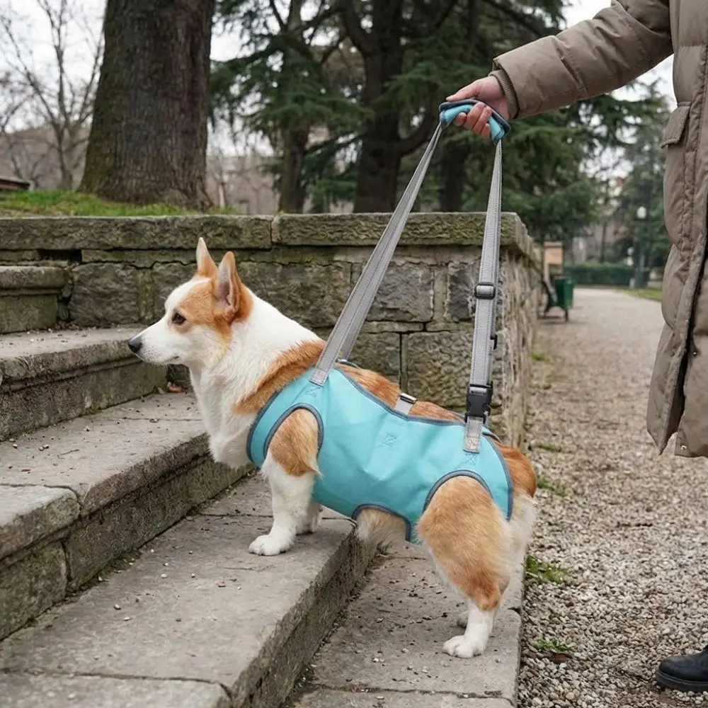 

Adjustable Pet Auxiliary Vest Thicken Handle Full Body Support Support Harness Mobility Aid Soft Lining Pet Auxiliary Sling