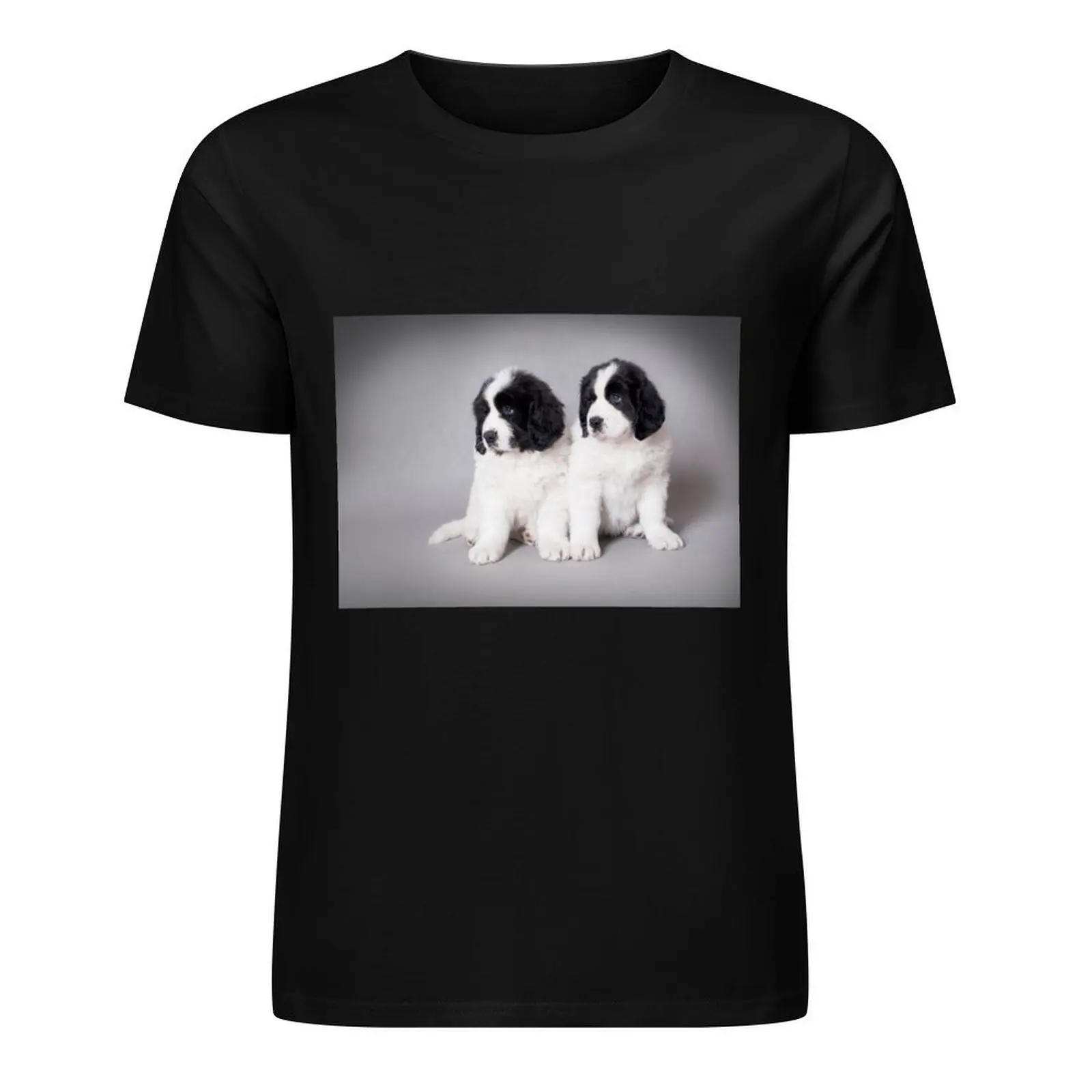 Landseer puppies T-Shirt korean fashion cotton graphic tees for a boy shirts men