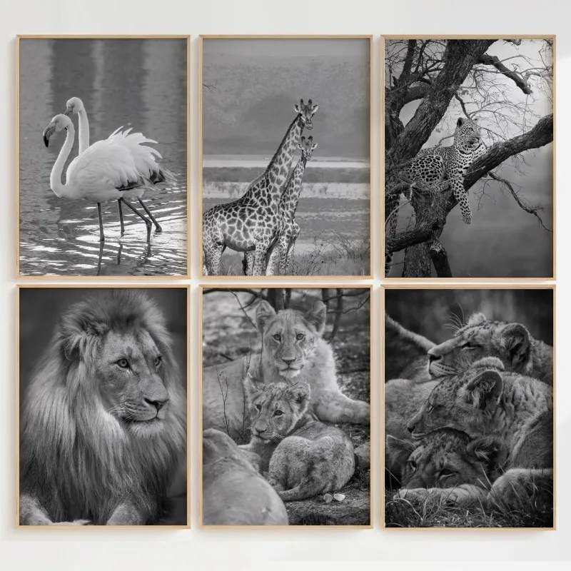 Kenya Botswana Tanzania Wall Art Set Black and White Africa Gallery Wall Travel Photography Posters Minimalist Home Decor Gift