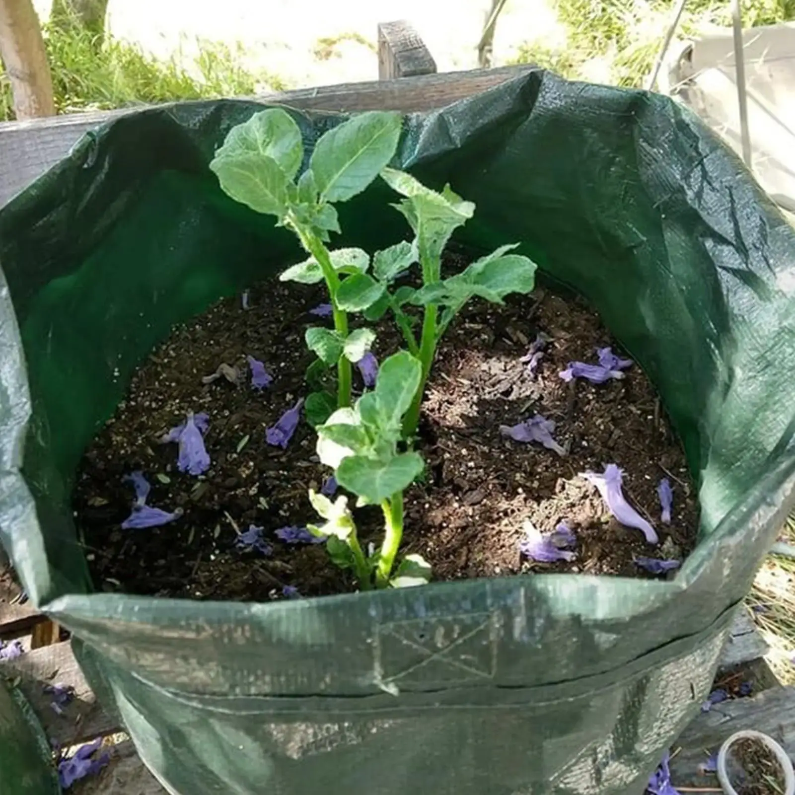 

Многоразовые мешки для выращивания растений (10 галлонов, 3 шт.), устойчивые к разрывам, для овощей, для использования в помещении и на улице, для двора, патио, подоконников, для выращивания моркови