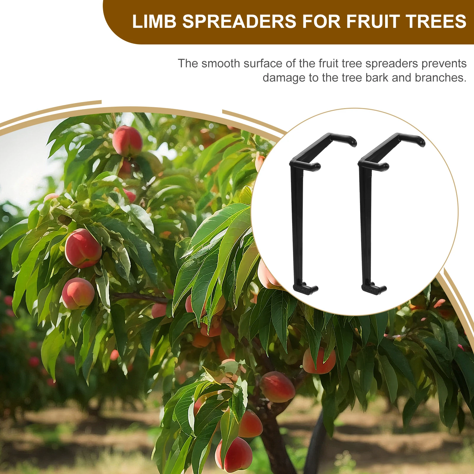 

50 Pcs Branch Picker Spreader and Limb Spreaders Bougainvillea for Fruit Trees Black