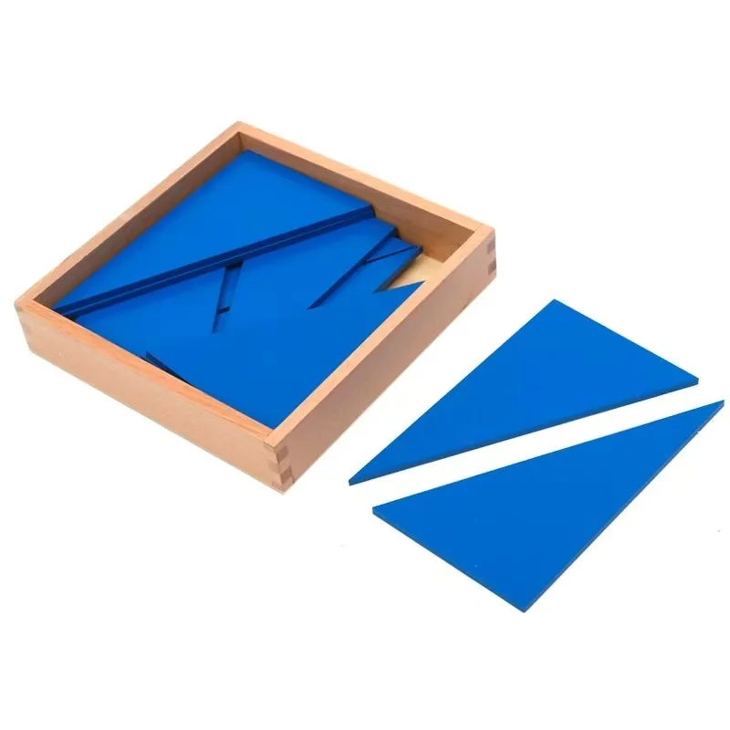 ADENA Montessori Box of Blue Triangles Educational Toy for Kids Developmental Learning Geometric Shapes Sorting And Matching