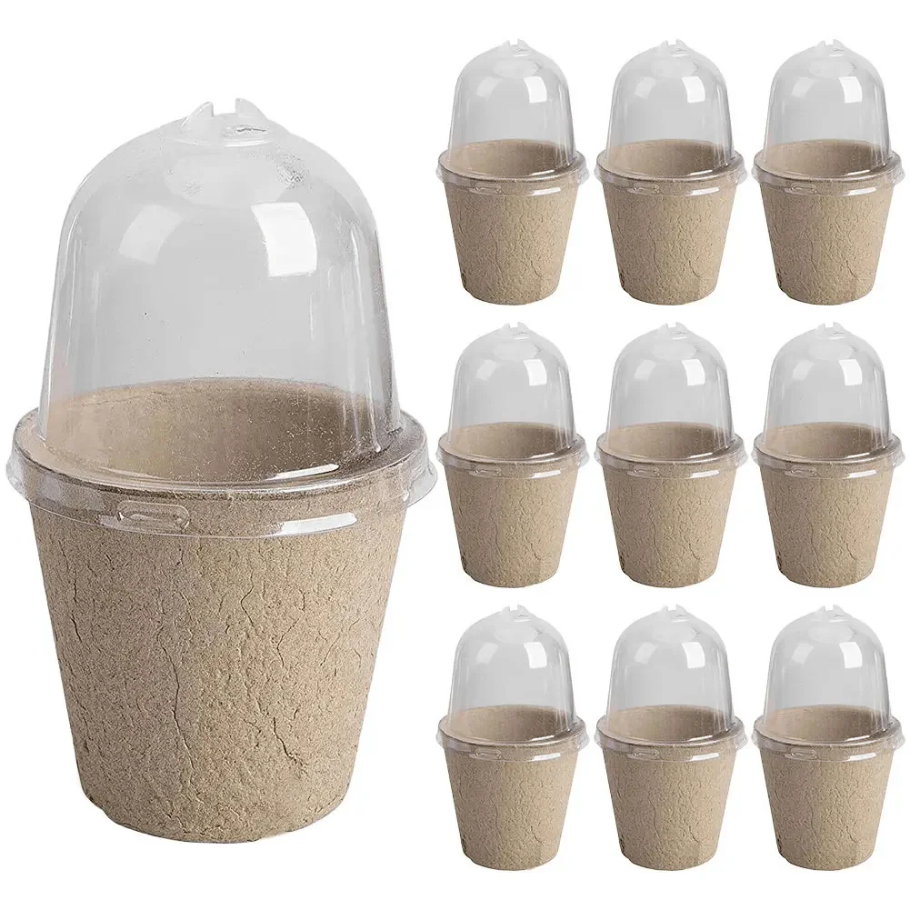 10Pcs Seedling Cup Cultivation Pot Transparent Lid Germination Planter Versatile Greenhouse Breeding Box Gardening Supplies