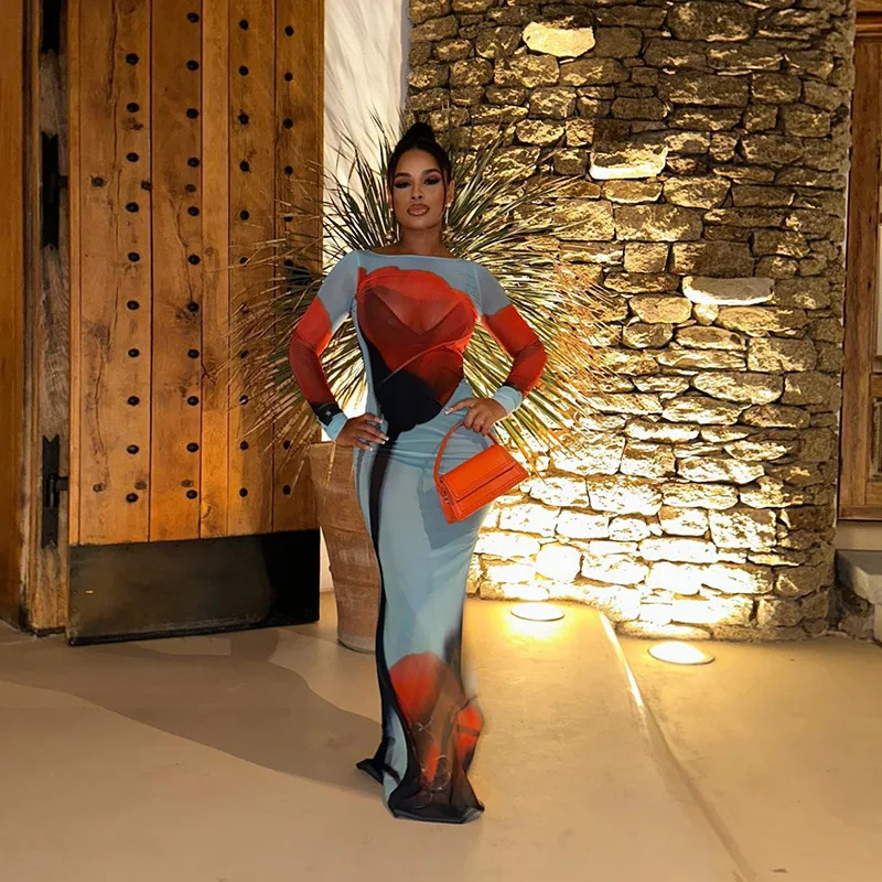 New Summer Sexy Cover-Ups Sheer Mesh Long Dress for Women Fashion Print Side Split Bikini Long Sleeve Slim Fit Beach Dresses