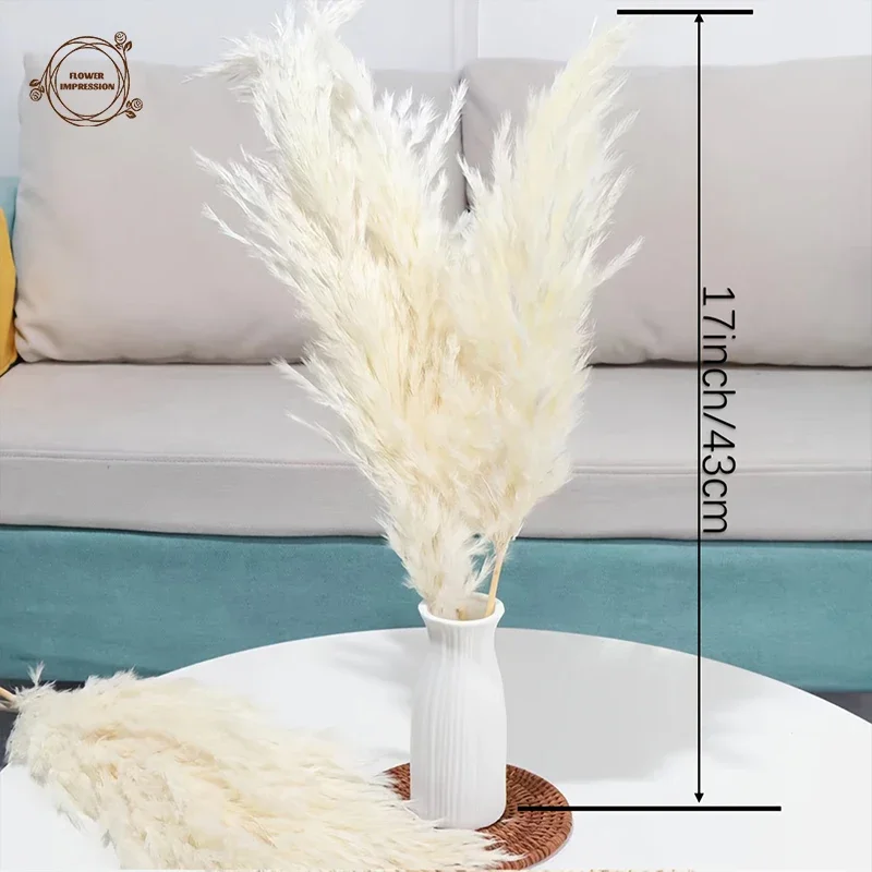 Natural White Pampas Grass Decor Dried Flowers Farmhouse Boho Home Tables Decoration Christmas Party Supplies Artificial Flower