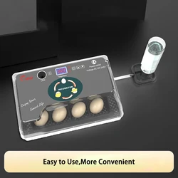 Automatic HHD Best Digital 12 Chick egg Hatchery machine Brooder egg incubator egg incubator Hatcher for goose chicken quail