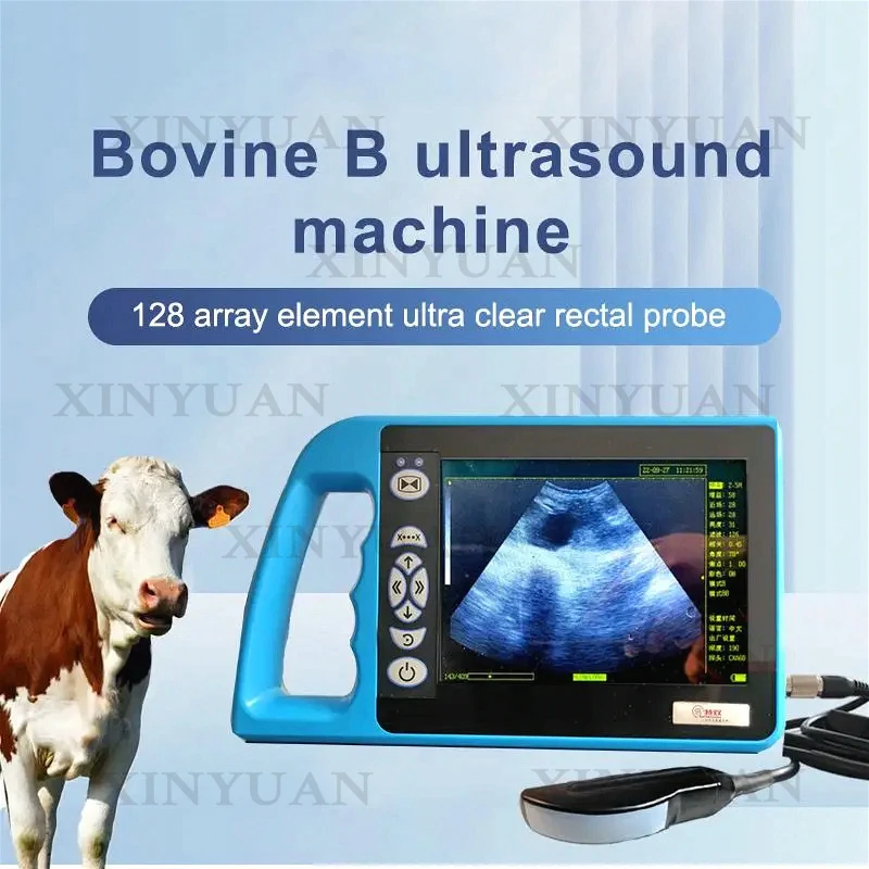 B Ultrasound, Professional Scanning Equipment for Bovine Animal Inspection