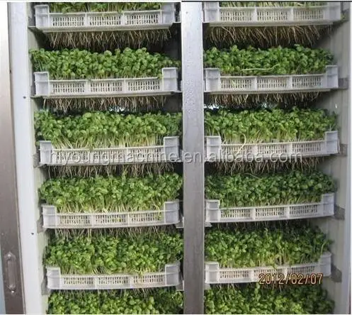 Mung Bean Sprouts Making Machine Hydroponic Seeds Sprouting Machine Sprout Growing Machine