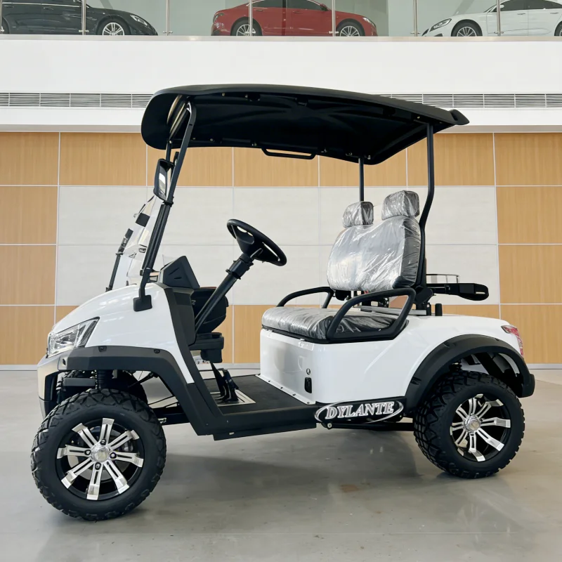 2026 Mini Smart Adult Golf Cart Lifted Off-Road Hunting Car Lead Acid or Lithium Battery 2 Seat New Energy Club Car