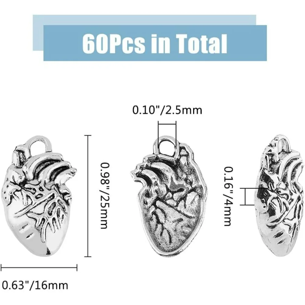 60Pcs Gothic Heart Charm Alloy Heart Charms 3D Heart Organ Charms Anatomical  Pendant Bulk Human Anatomy Pendants