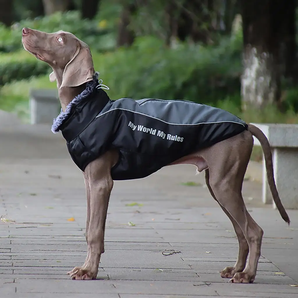 

Reflective Dog with Leash Stylish Dog Chore Coat Dog Sweater for Everyday Use Indoor Use Boy Multi-