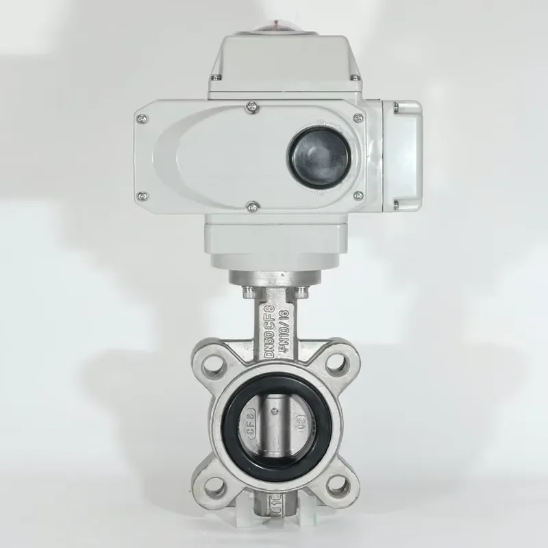 

3 inch DN80 24V DC Disc CF8M PN16 Electric Lug Butterfly Valve