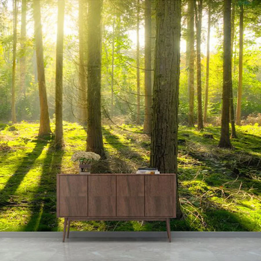 

Современные фотообои на самоклеящейся основе для декора дома: «Солнечный лес» для гостиной, ремонта мебели и телевизоров