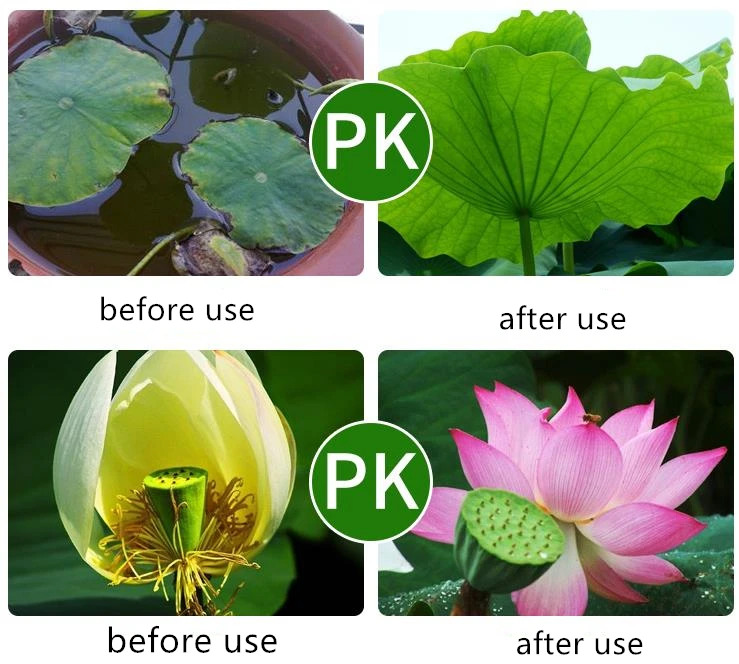 Special Garden Fertilizer For Lotus Flower Hydrophyte Plants Base Fertilizer Complete Nutrients Slow Release Fertilizer
