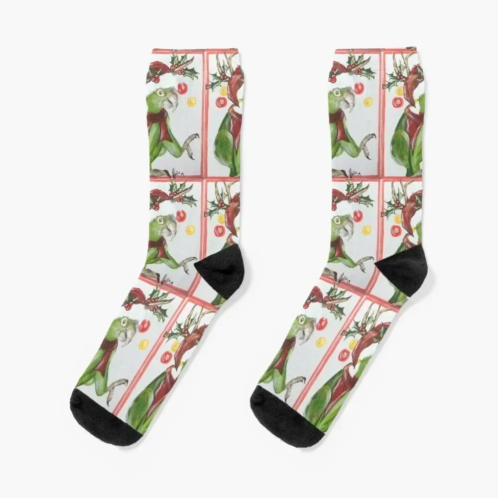 Christmas Parrot Socks sports stockings custom funny gift Socks Male Women's