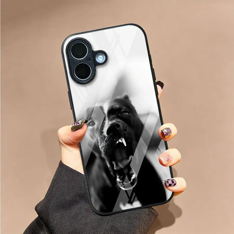 Case for iPhone 17 Pro Max 8 15 Plus 12 13 16 XR 14 Air 11 Glass Phone Cover Cool Doberman - view 3