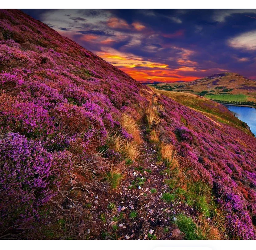 B-CUBE Open Source 450MM Smart Drone Frame for Pixhawk Ardupilot Quadrotor with Landing Gear Multicopter