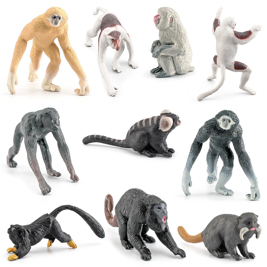 Figuras realistas de animales Bonobo, cinta, Marmoset, monos, modelo multicolor, juguetes educativos para enseñanza, 10 Uds.