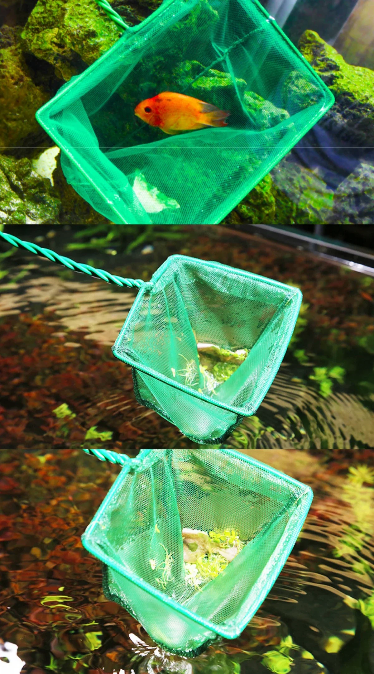 Tragbares Fischernetz für Aquarien, zum Fangen von Fischen, schwimmendes Filternetz für Teiche und Pools, Blätterabziehnetz 3/4/5/6/8/10/12 Zoll – Detail 13