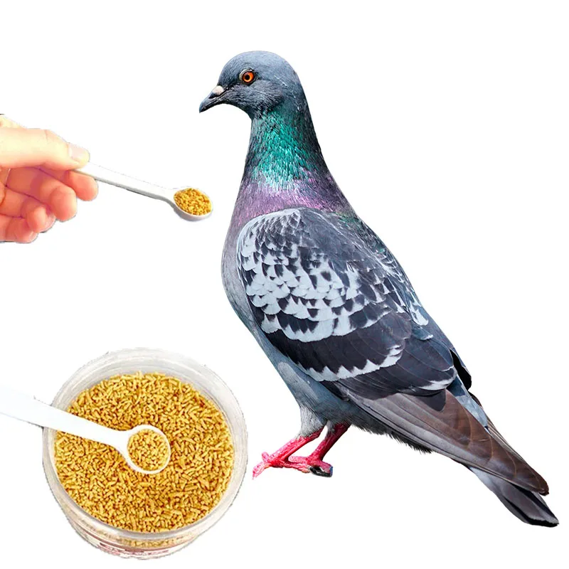 Bird Pet Nutrition Supplement Vitamins Promoting Appetite And Weight Gain Pigeons Spotted Dove Feather luster Improve Immunity