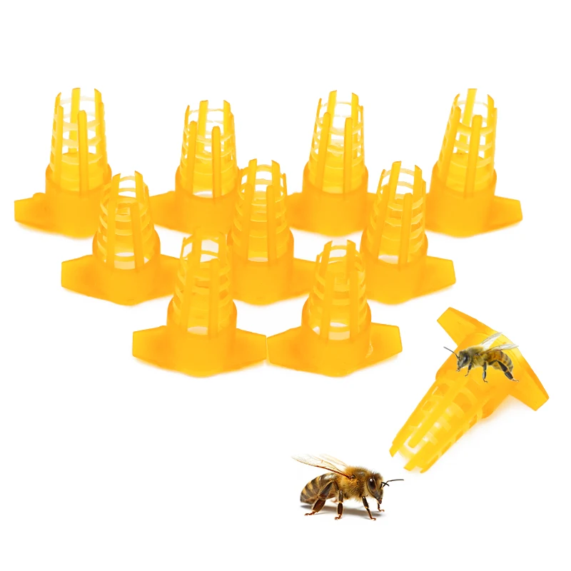 20Pcs Bee Queen Cage Protective Cover Cell Cages Protection Cap Protector apiculture Beekeeping Tool bees Breeding Supplies