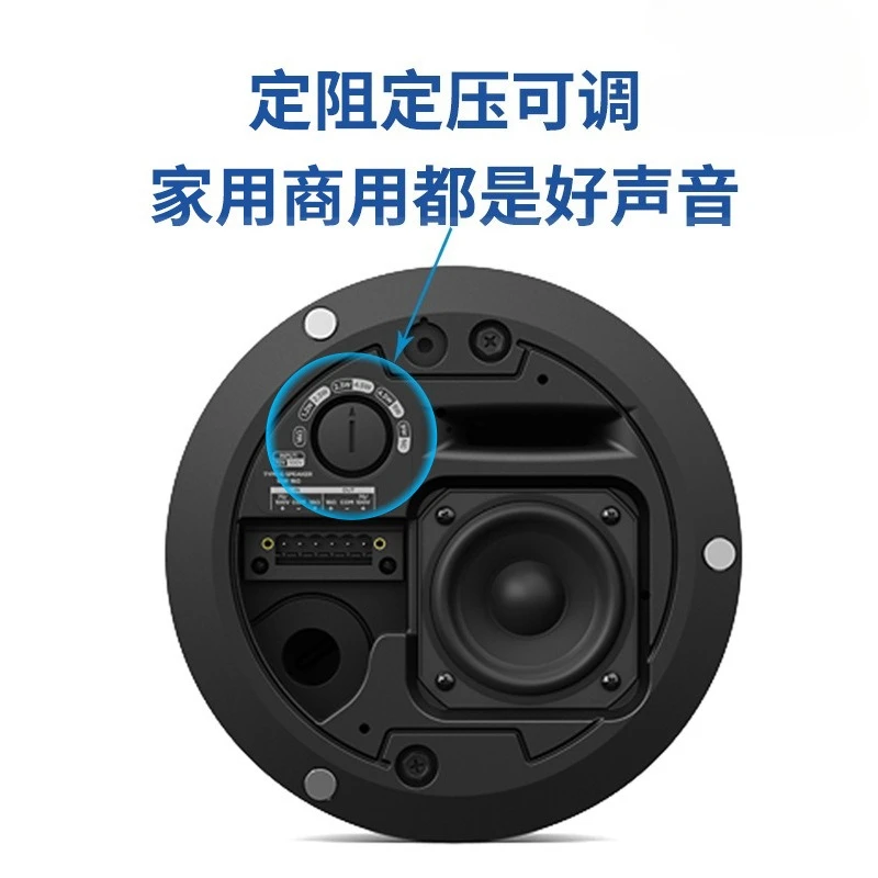 FS2C DM2C LP DM3C DM5C DM6C DM8 خلفية مكبر الصوت للسقف #3