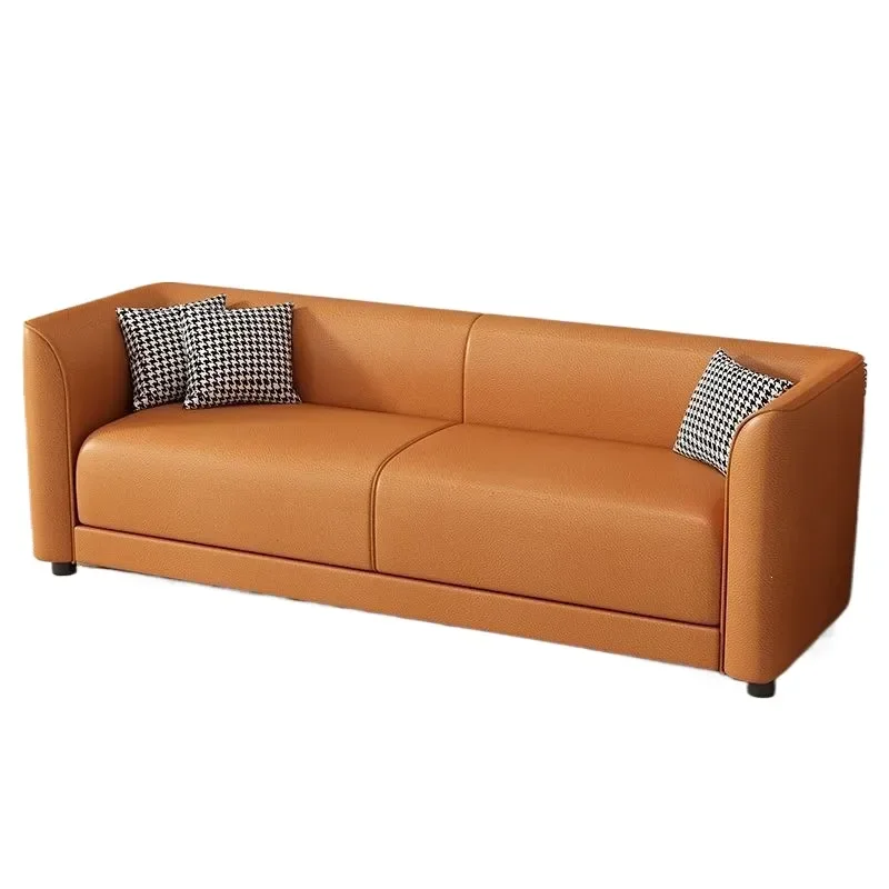 for Sofa Small Apartment Spot Cat Claw Skin Light Luxury Living Room Three Seater for Rental House Compact Design Modern