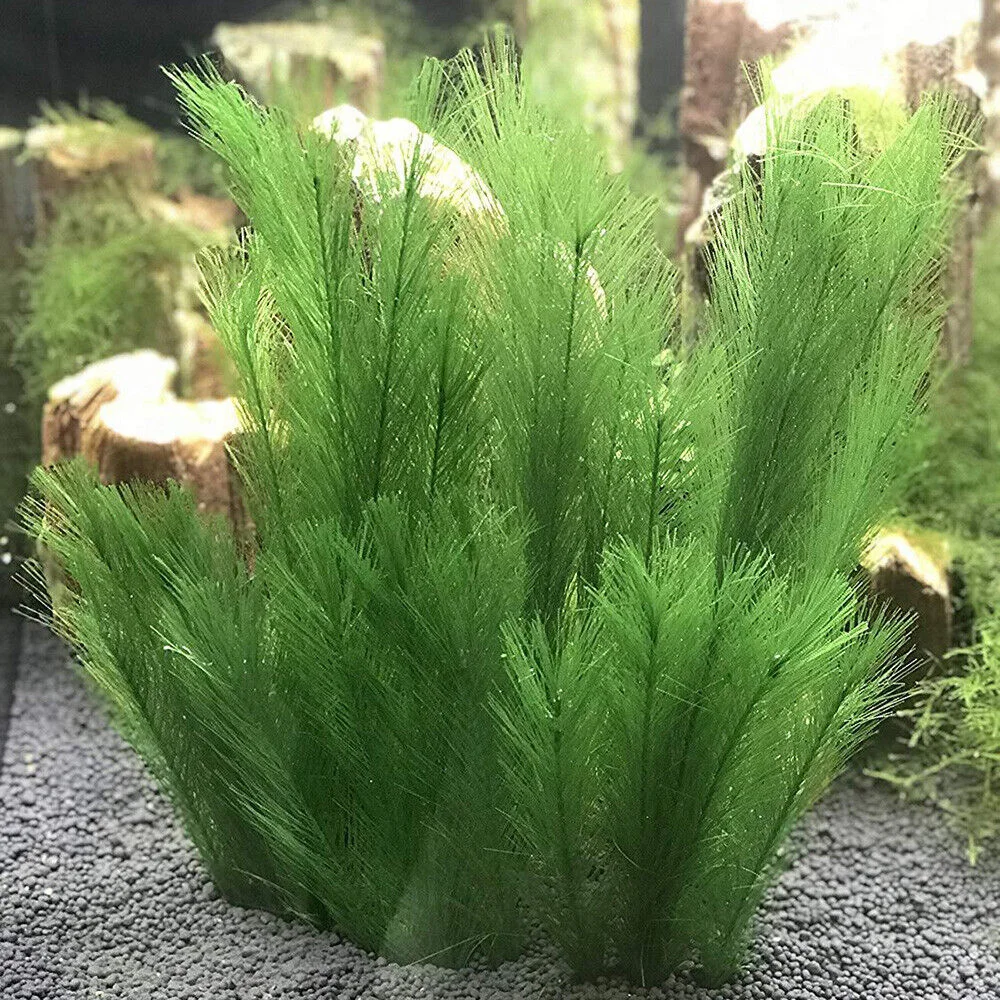 30cm Imitation Water Grass Fish Tank Aquatic Artificial Plant Fake Plant Diy Aquarium Ornamental Landscaping Micro Decor Crafts